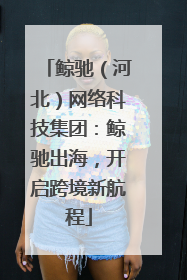 鲸驰（河北）网络科技集团：鲸驰出海，开启跨境新航程