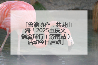 鲁渝协作，共赴山海！2025重庆火锅全球行（济南站）活动今日启动