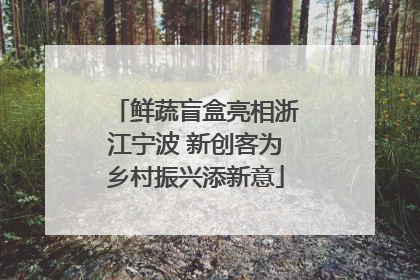 鲜蔬盲盒亮相浙江宁波 新创客为乡村振兴添新意