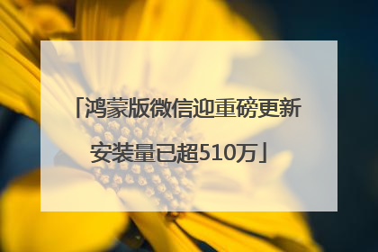 鸿蒙版微信迎重磅更新 安装量已超510万