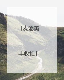 麦浪黄 丰收忙