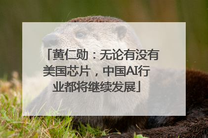 黄仁勋：无论有没有美国芯片，中国AI行业都将继续发展
