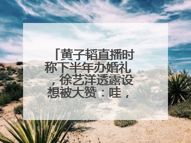 黄子韬直播时称下半年办婚礼，徐艺洋透露设想被大赞：哇，这个太好了
