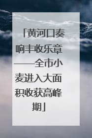 黄河口奏响丰收乐章——全市小麦进入大面积收获高峰期