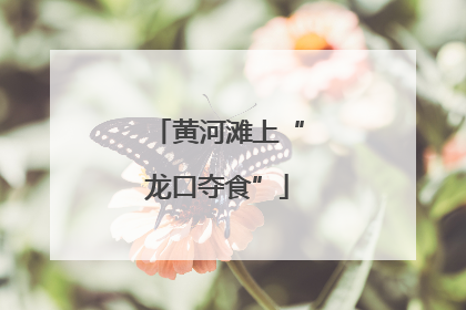 黄河滩上“龙口夺食”