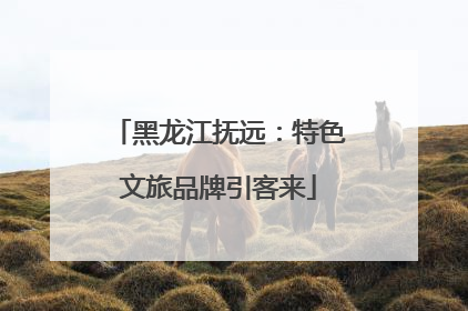 黑龙江抚远：特色文旅品牌引客来