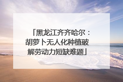 黑龙江齐齐哈尔：胡萝卜无人化种植破解劳动力短缺难题