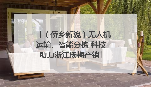 （侨乡新貌）无人机运输、智能分拣 科技助力浙江杨梅产销