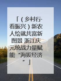 （乡村行·看振兴）新农人绘就共富新图景 浙江庆元统战力量赋能“海拔经济”