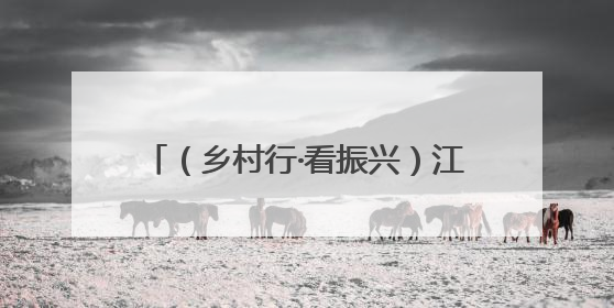（乡村行·看振兴）江苏扬州沙头“种出”20亩“玉米迷宫” 民众体验别样“田园乐趣”