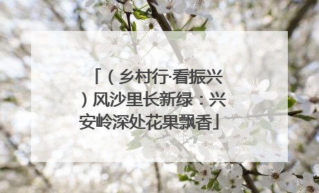 （乡村行·看振兴）风沙里长新绿：兴安岭深处花果飘香