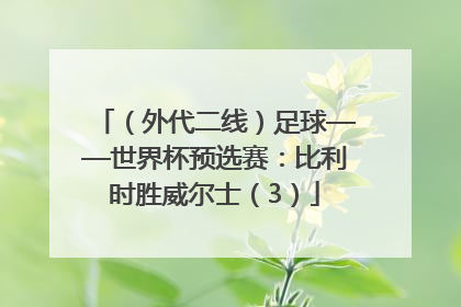 （外代二线）足球——世界杯预选赛：比利时胜威尔士（3）