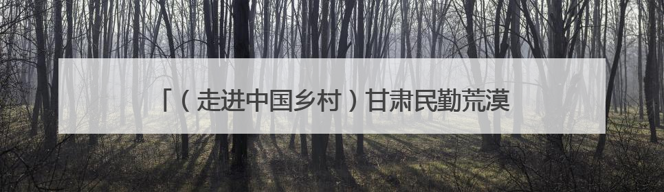 （走进中国乡村）甘肃民勤荒漠引“Z世代”探兴环保新时尚