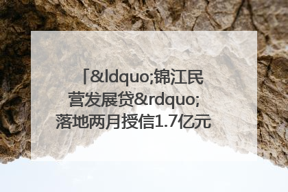 “锦江民营发展贷”落地两月授信1.7亿元，惠及118家民企