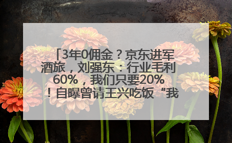 3年0佣金？京东进军酒旅，刘强东：行业毛利60%，我们只要20%！自曝曾请王兴吃饭“我要做外卖了”