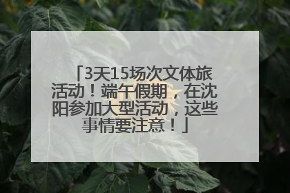 3天15场次文体旅活动！端午假期，在沈阳参加大型活动，这些事情要注意！