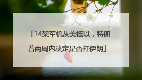 14架军机从美抵以，特朗普两周内决定是否打伊朗