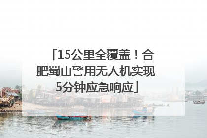 15公里全覆盖！合肥蜀山警用无人机实现5分钟应急响应