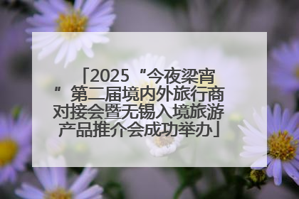 2025“今夜梁宵”第二届境内外旅行商对接会暨无锡入境旅游产品推介会成功举办
