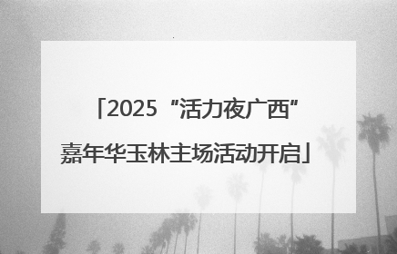 2025“活力夜广西”嘉年华玉林主场活动开启