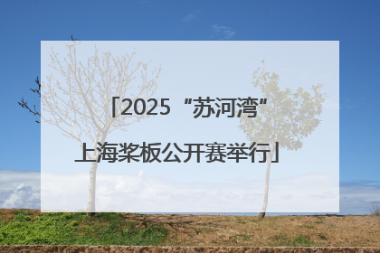 2025“苏河湾”上海桨板公开赛举行