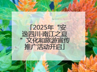 2025年“安逸四川·南江之夏”文化和旅游宣传推广活动开启