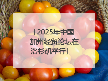 2025年中国－加州经贸论坛在洛杉矶举行