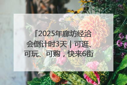 2025年廊坊经洽会倒计时3天｜可逛、可玩、可购，快来6街16巷逛市集