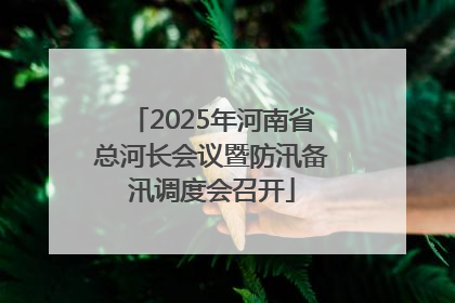 2025年河南省总河长会议暨防汛备汛调度会召开