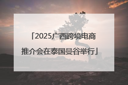 2025广西跨境电商推介会在泰国曼谷举行