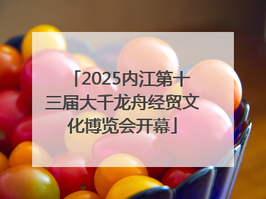 2025内江第十三届大千龙舟经贸文化博览会开幕