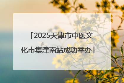 2025天津市中医文化市集津南站成功举办