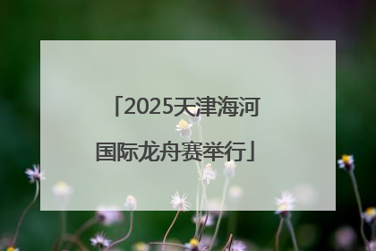 2025天津海河国际龙舟赛举行