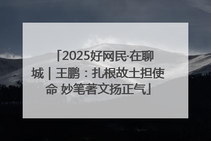 2025好网民·在聊城｜王鹏：扎根故土担使命 妙笔著文扬正气