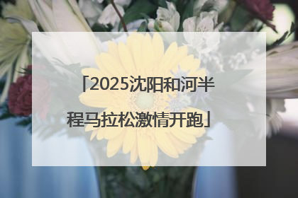 2025沈阳和河半程马拉松激情开跑