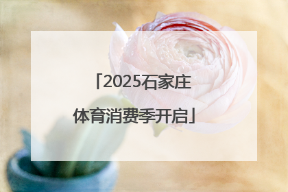 2025石家庄体育消费季开启