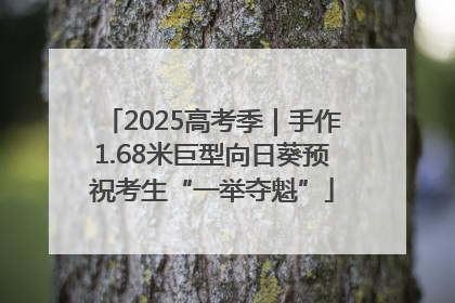 2025高考季｜手作1.68米巨型向日葵预祝考生“一举夺魁”
