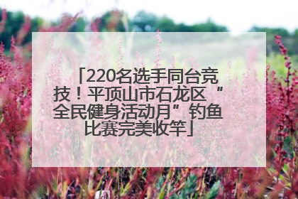220名选手同台竞技！平顶山市石龙区“全民健身活动月”钓鱼比赛完美收竿