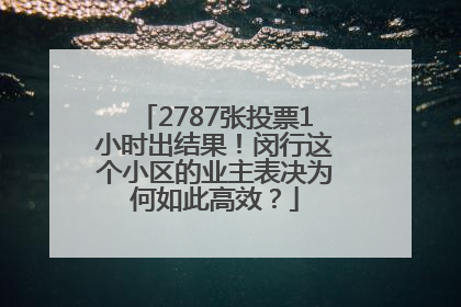 2787张投票1小时出结果！闵行这个小区的业主表决为何如此高效？