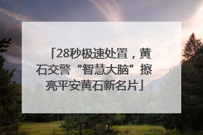 28秒极速处置，黄石交警“智慧大脑”擦亮平安黄石新名片