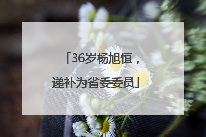36岁杨旭恒，递补为省委委员