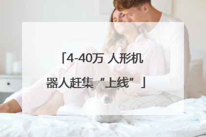 4-40万 人形机器人赶集“上线”