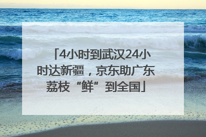 4小时到武汉24小时达新疆，京东助广东荔枝“鲜”到全国