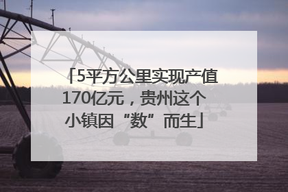 5平方公里实现产值170亿元，贵州这个小镇因“数”而生