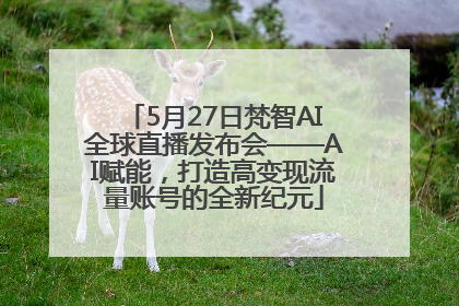 5月27日梵智AI全球直播发布会——AI赋能，打造高变现流量账号的全新纪元