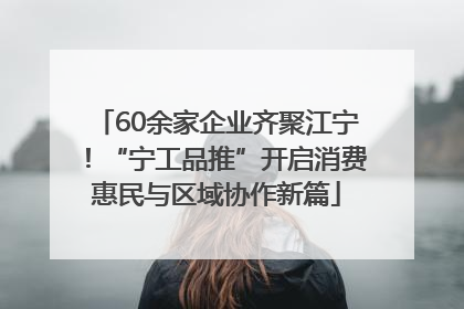 60余家企业齐聚江宁！“宁工品推”开启消费惠民与区域协作新篇
