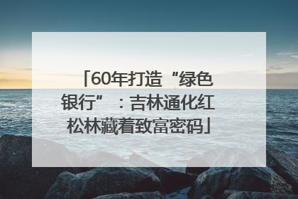60年打造“绿色银行”：吉林通化红松林藏着致富密码