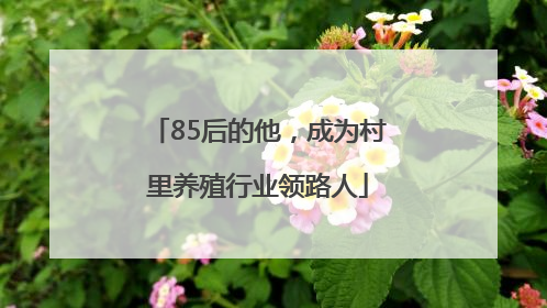 85后的他，成为村里养殖行业领路人