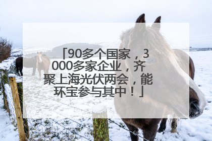 90多个国家，3000多家企业，齐聚上海光伏两会，能环宝参与其中！