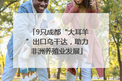 9只成都“大耳羊”出口乌干达，助力非洲养殖业发展
